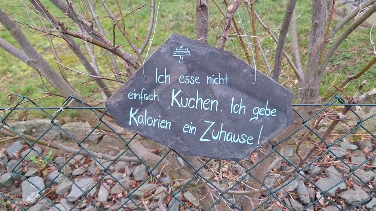 14.03.2024👉 So schön ist unsere Heimat 👈Krokuswiesen in Drehbach/Erzgebirge...👍😉