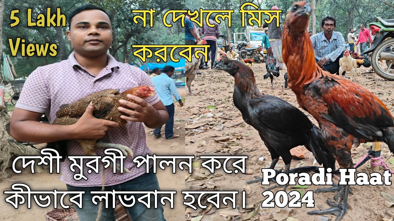 Poradi Haat 2024 l New Update Sujit Mandi Vlog