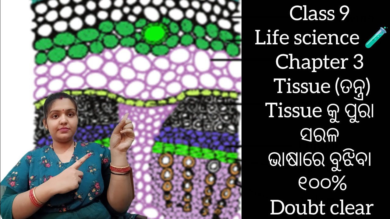 Class 9 Life Science Chapter 3 – Tissue (ତନ୍ତ୍ର) Full Explanation in Odia ଅତ୍ୟନ୍ତ ସହଜ ଭାବେ ବୁଝନ୍ତୁ