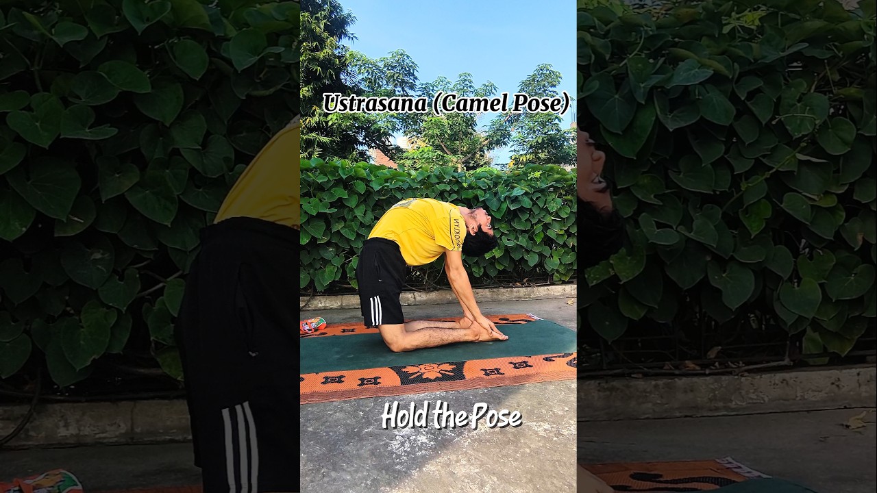 Ustrasana (Camel Pose) 