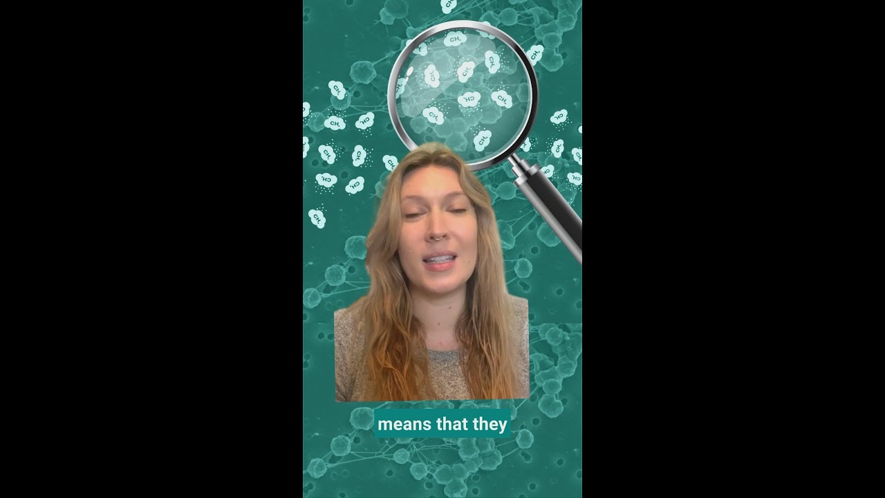 Let's Talk About Methane: Leaks