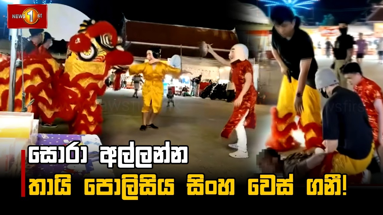 සොරා අල්ලන්න තායි පොලිසිය සිංහ වෙස් ගනී!