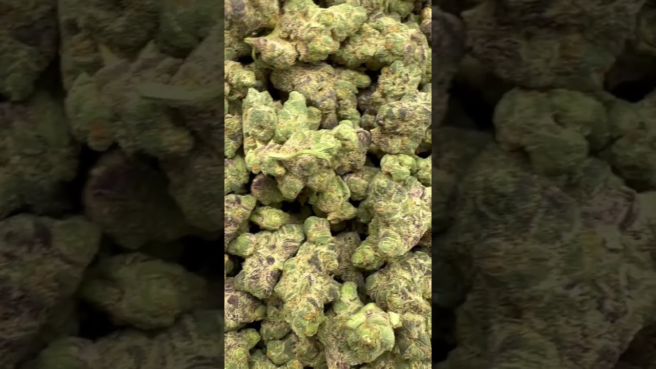 New exotic flower drop testing at a staggering 44% potency.  The papaya power indica hybrid.