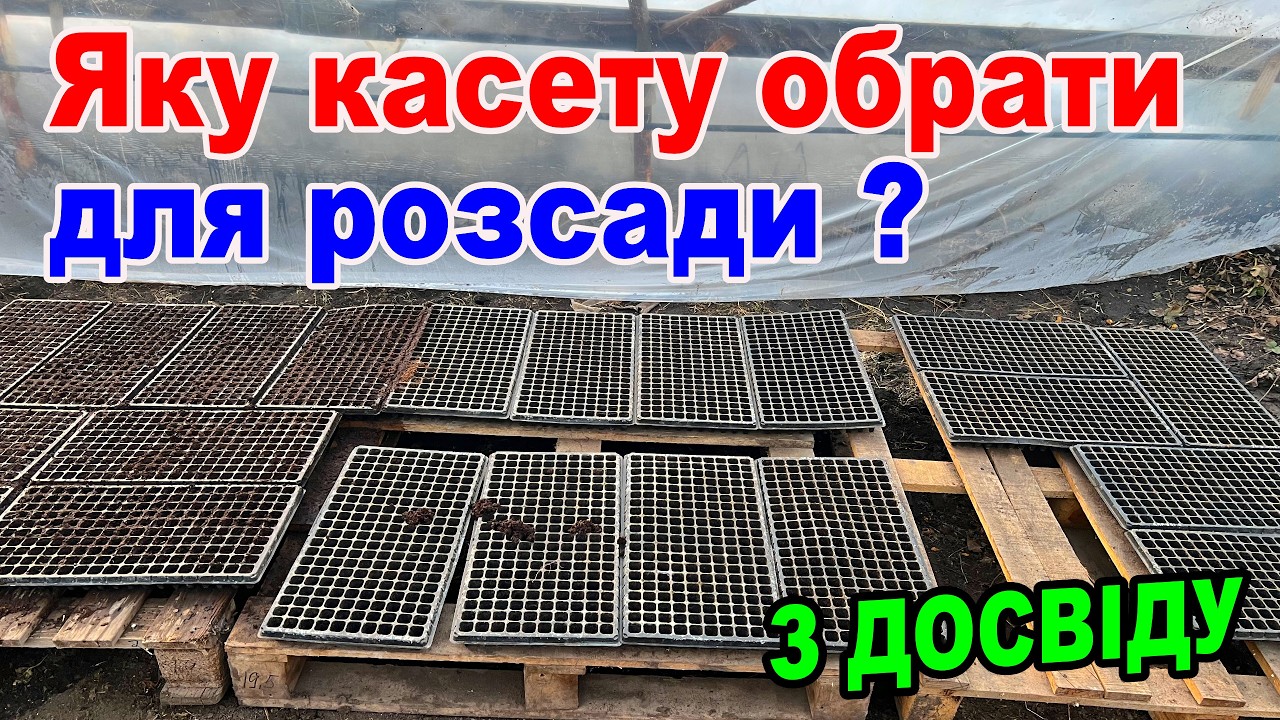 Касети для вирощування розсади . Які обрати ?  Та де купити ?
