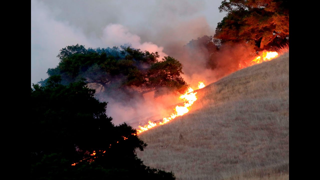 Cuesta Grade fire: Sunday, Aug. 16, 2015