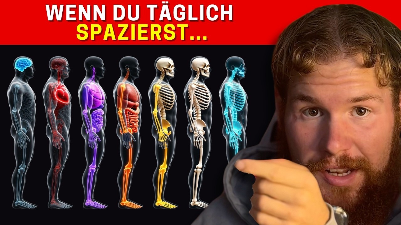 10 Ver&auml;nderungen Die Passieren Wenn Du Anf&auml;ngst T&auml;glich Zu Spazieren