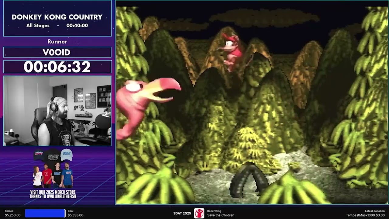 SDAT 2025: Donkey Kong Country by V0oid