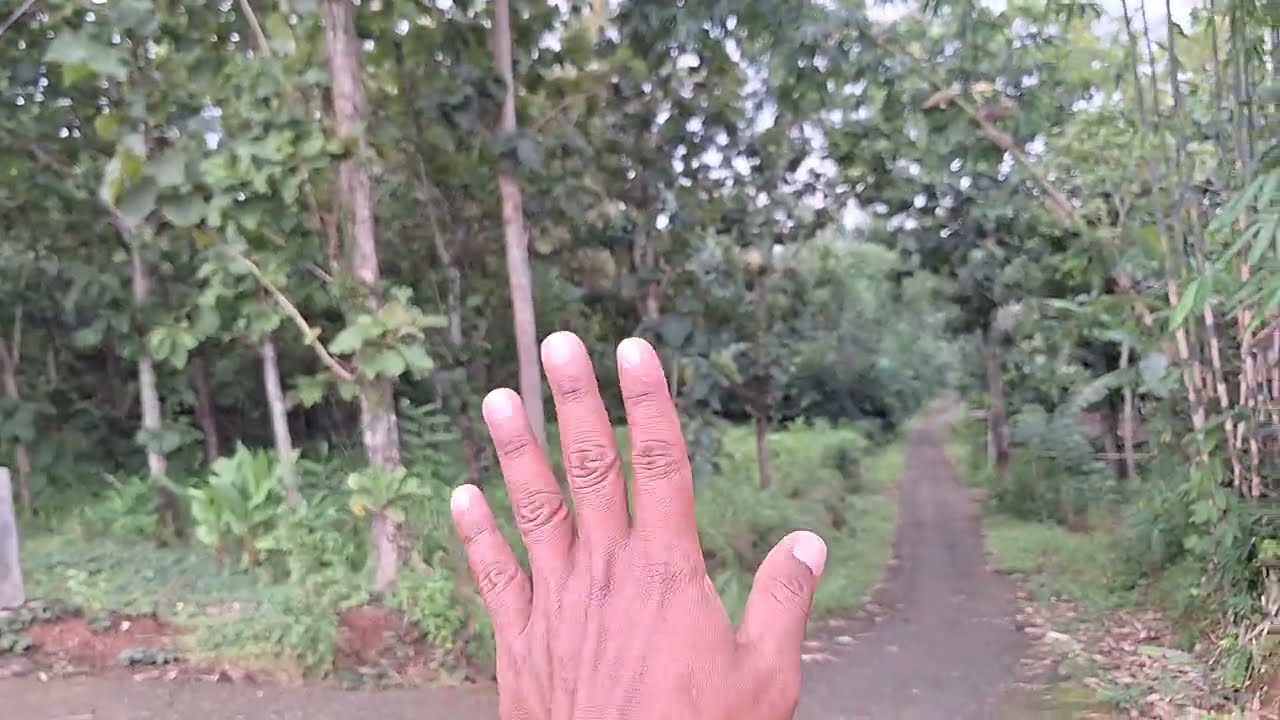 Lahan luas 3,7 Hektar. SHM pekarangan. view sawah terasiring dan Gunung Lawu. ketingian 475 Mdpl