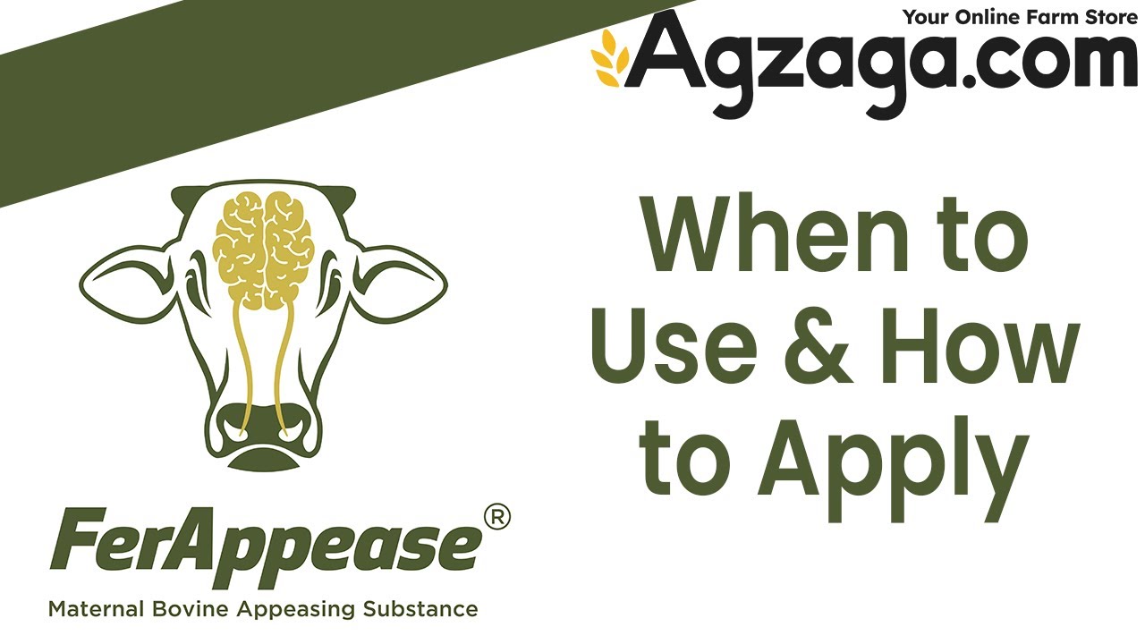 When to use and how to apply FerAppease with Dr. Rodrigo Bicalho DVM