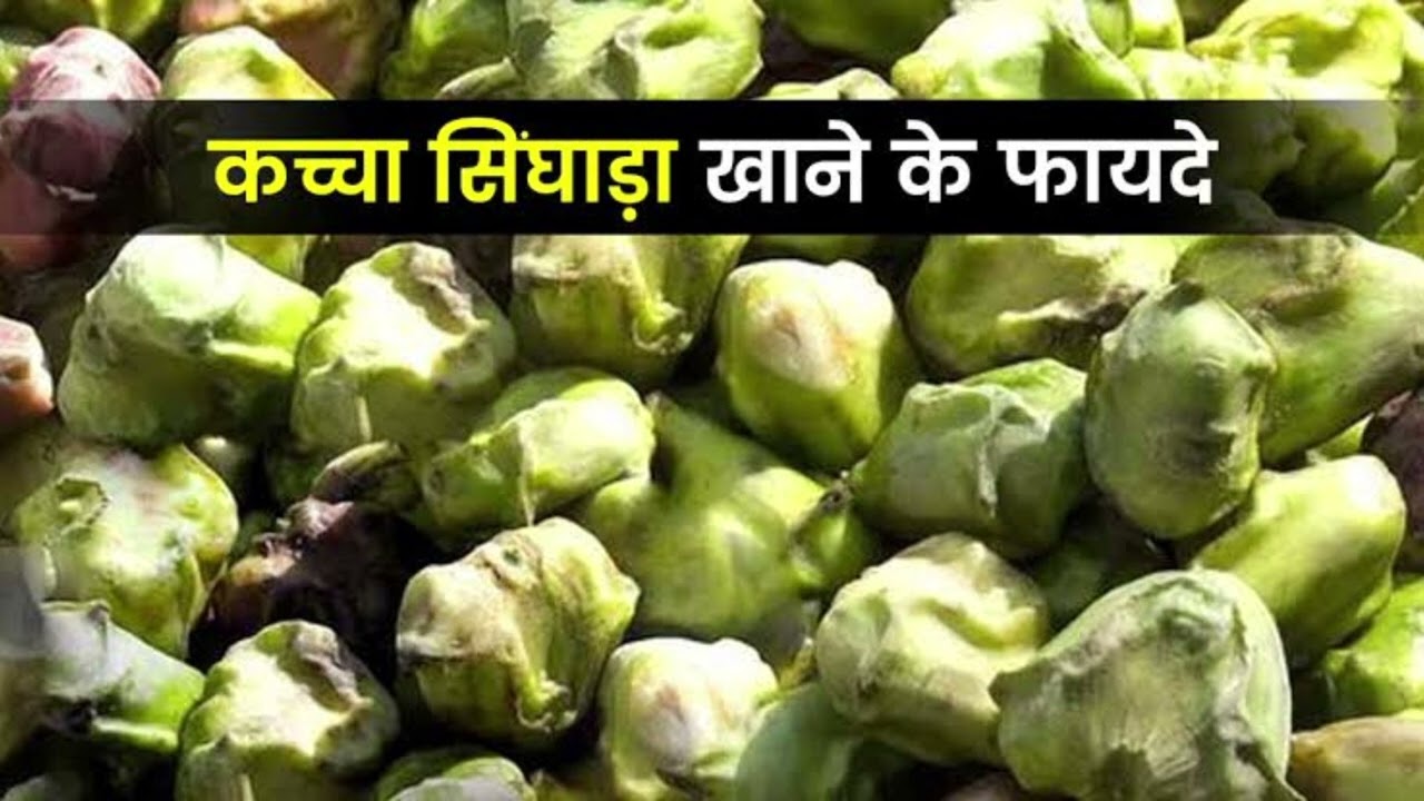 पाचन को दुरुस्त करने में water chestnuts कैसे करता है असर?