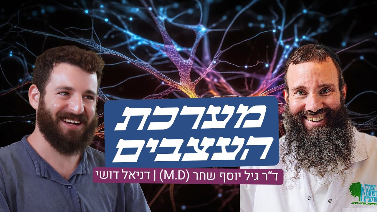 מערכת העצבים | ד