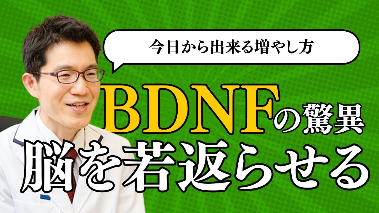 BDNFの驚異！【脳を若返らせる！？】今日からできる増やし方