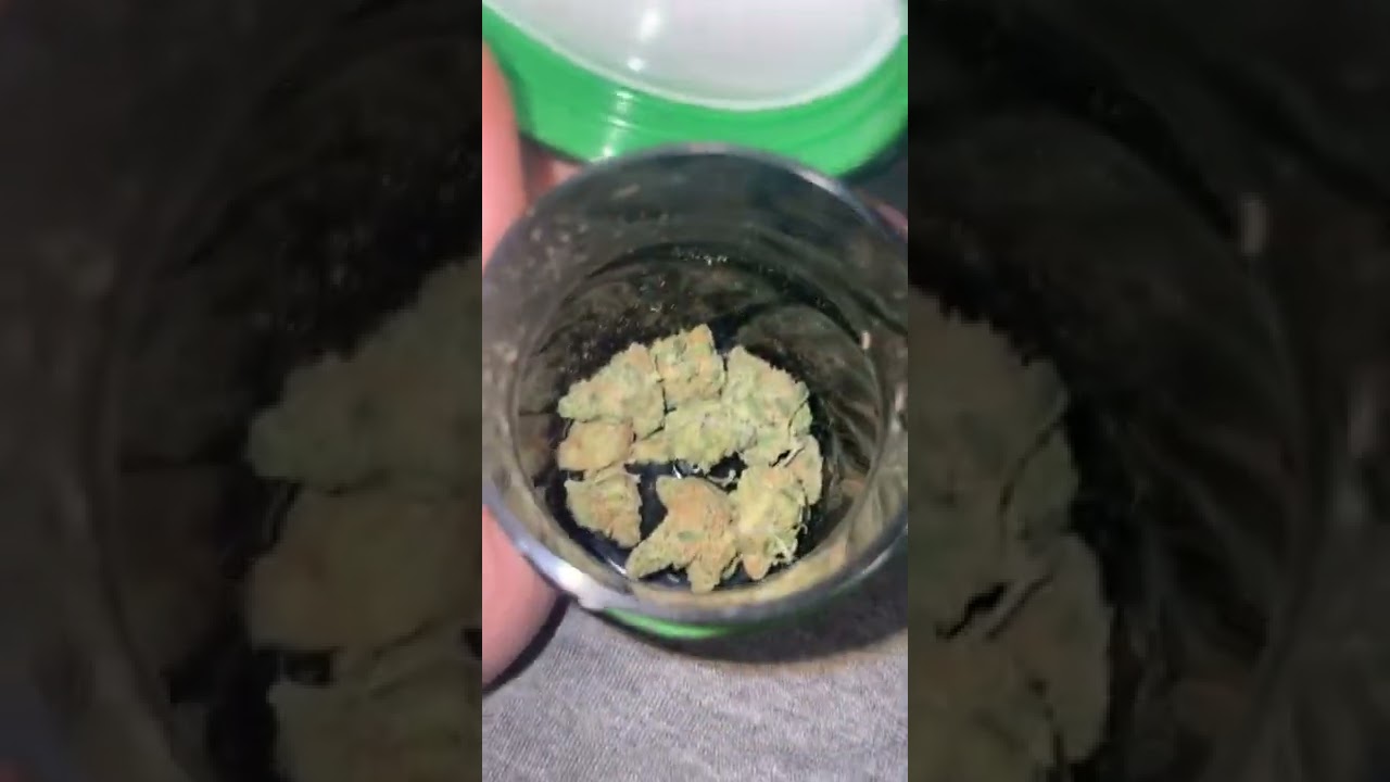 Legends Blue Dream #short #weed #cannabis