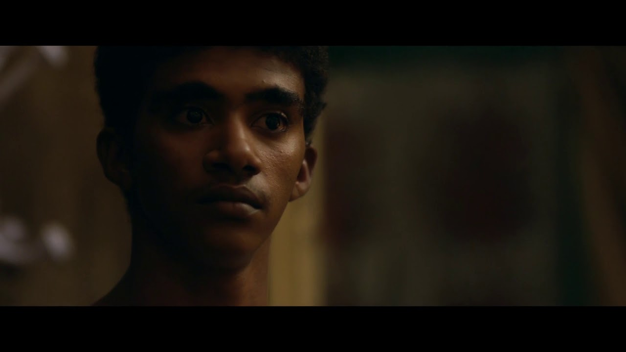 Zemře&scaron; ve dvaceti/You Will Die at 20