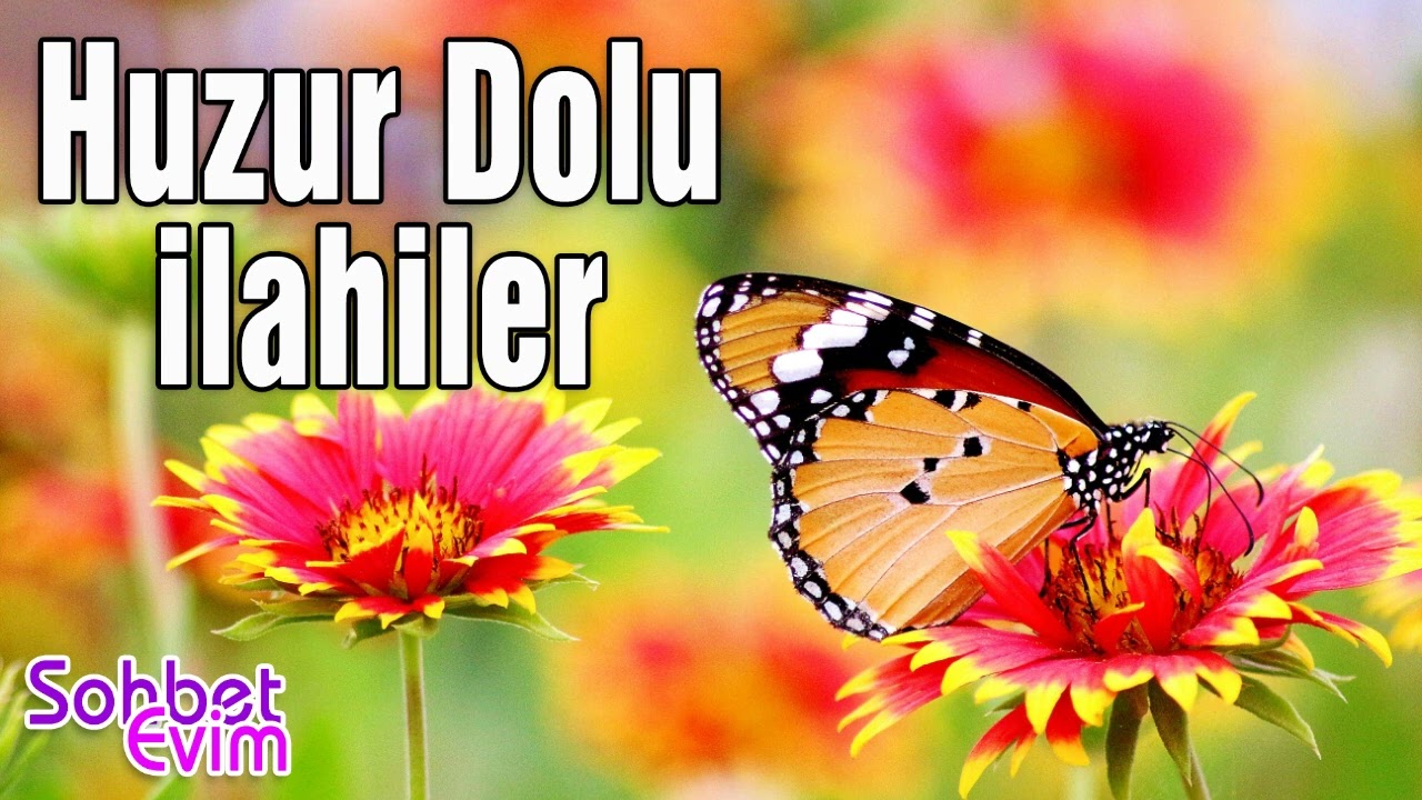 Huzur Dolu İlahiler 💖 Sevilen İlahiler  💖 Ramazan Özel 💖 Sohbet Evim