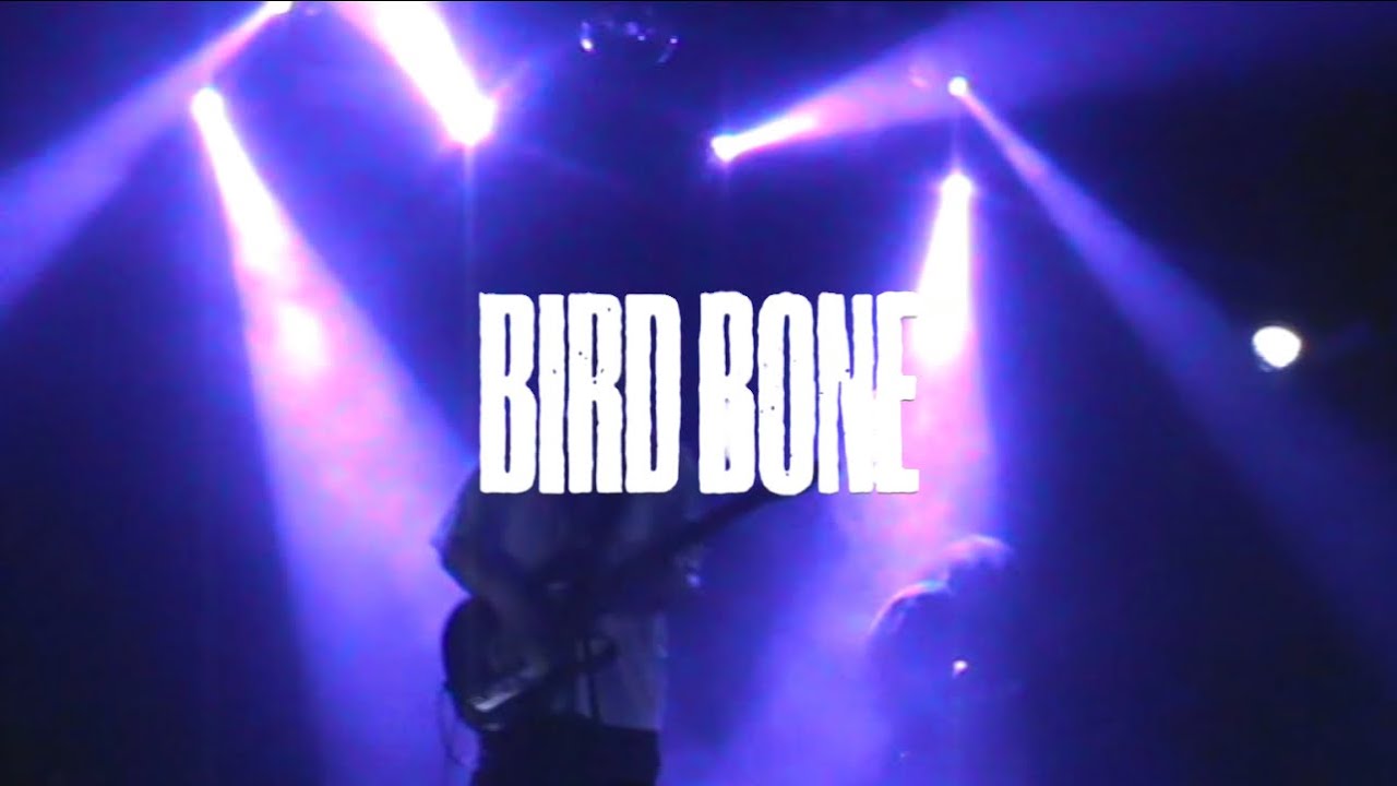 Bird Bone Live (+ НДвТБ)| Pravda Club 20.03.2026