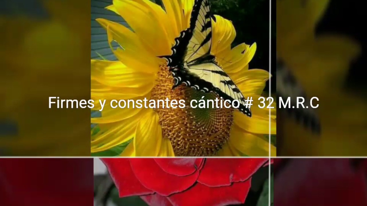 Firmes y constantes cántico # 32