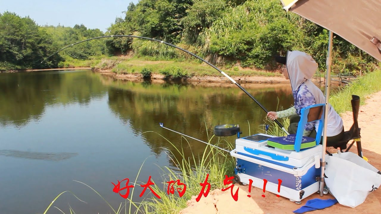 三妹 葡萄釣草魚，火龍果打窩，5號線都被拉斷了