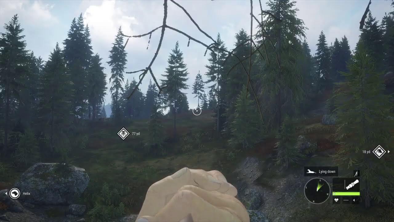 uzito84's finding errors