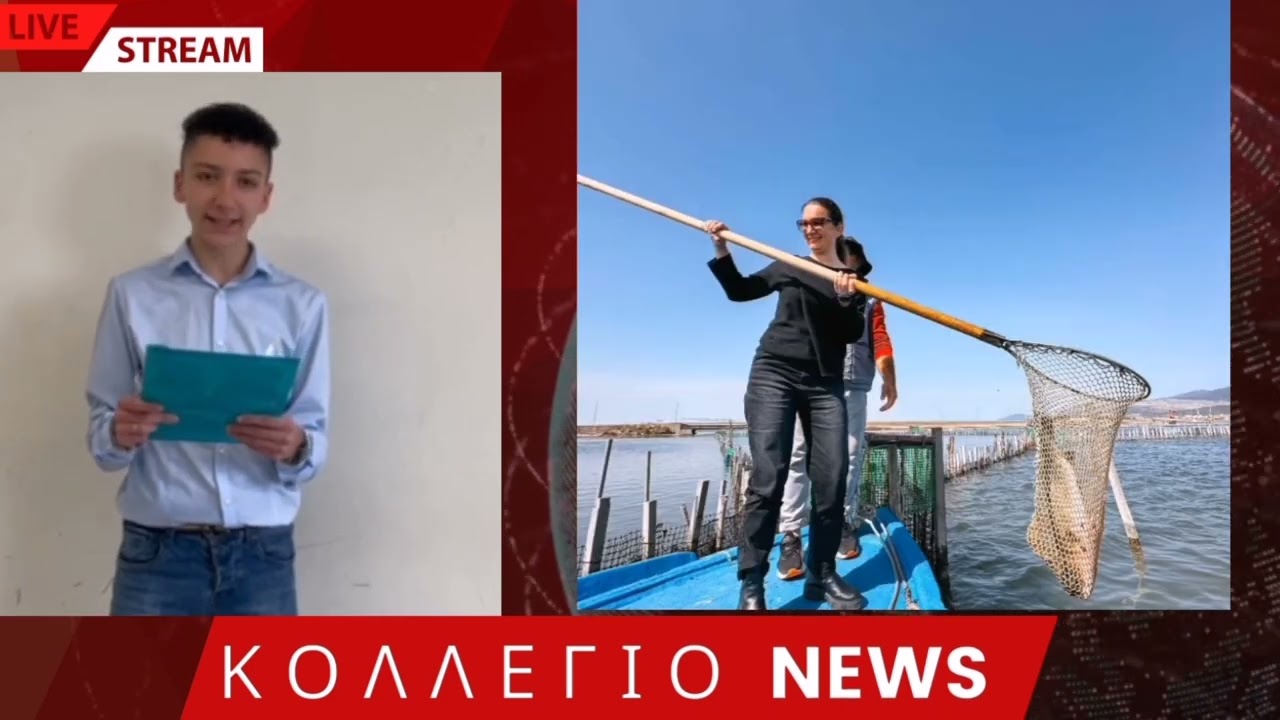 ΠΑΙΔΕΙΑ ΣΤΑ ΜΕΣΑ ΔΕΛΤΙΟ ΕΙΔΗΣΕΩΝ