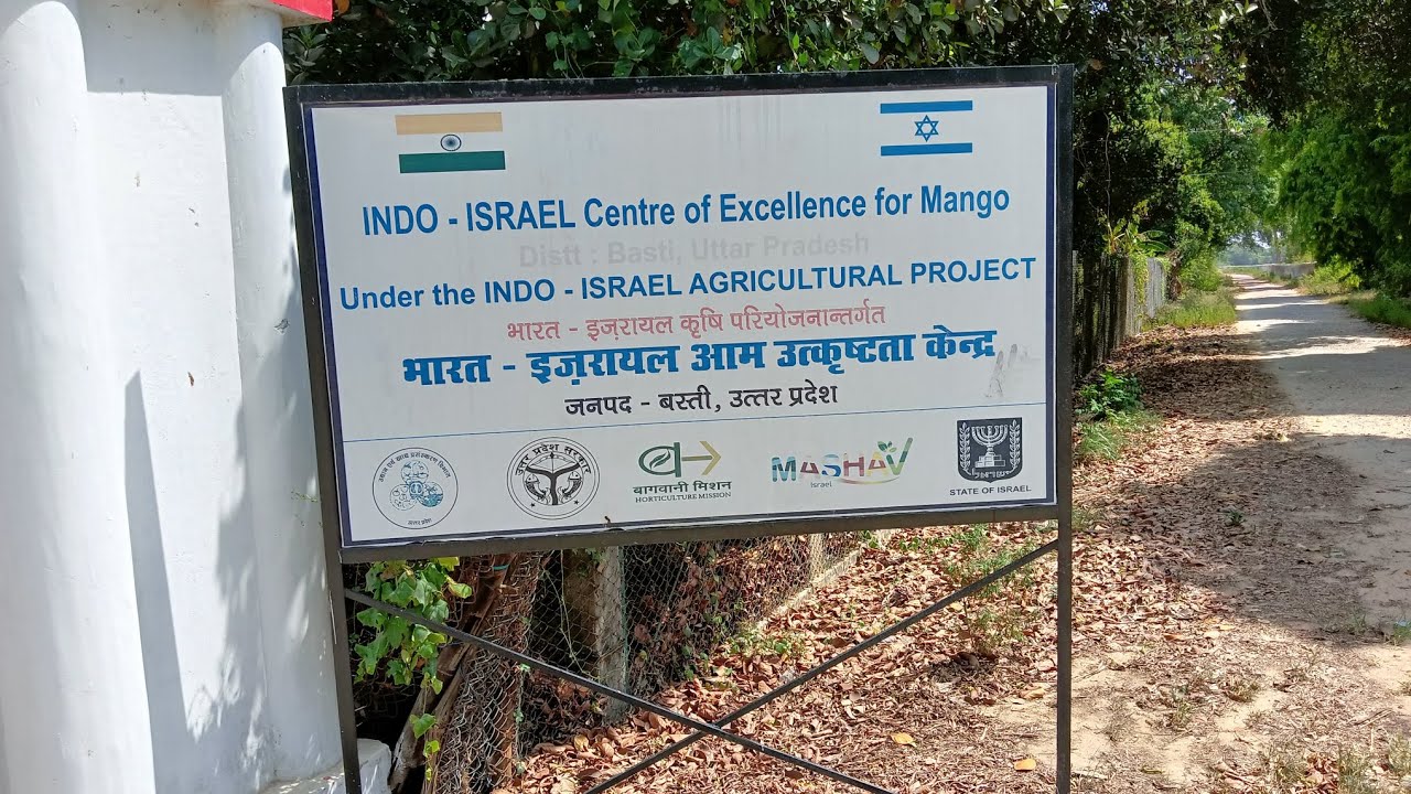 Exploring the Indo-Israel Centre of Excellence for Mango in Basti District | An agricultural journey