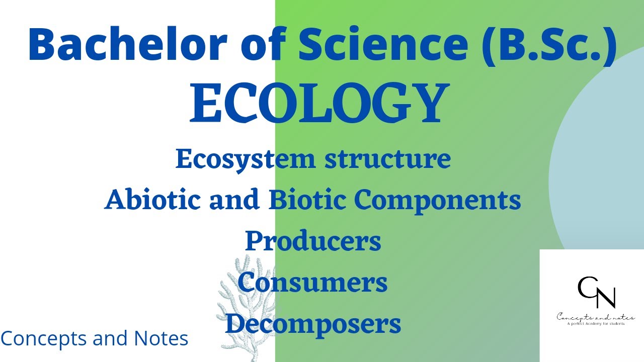 Ecosystem structure || Biotic & Abiotic Components || Producers || Consumers || Decomposers ||