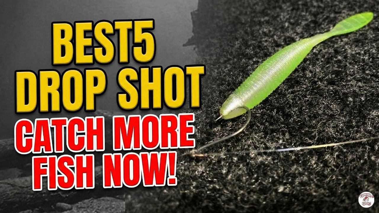 Is This The Best Drop Shot Setup? 🎣 | Essential Tackle Room Gear