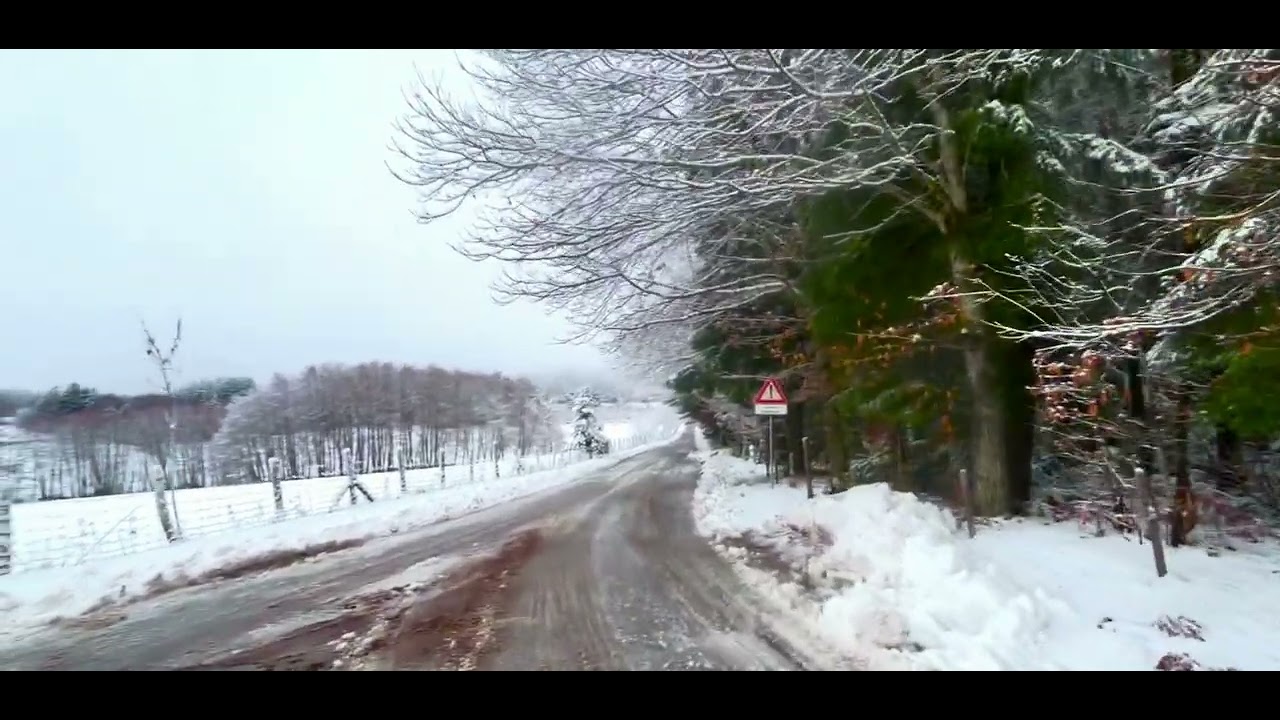 Ninfo neve 2026 