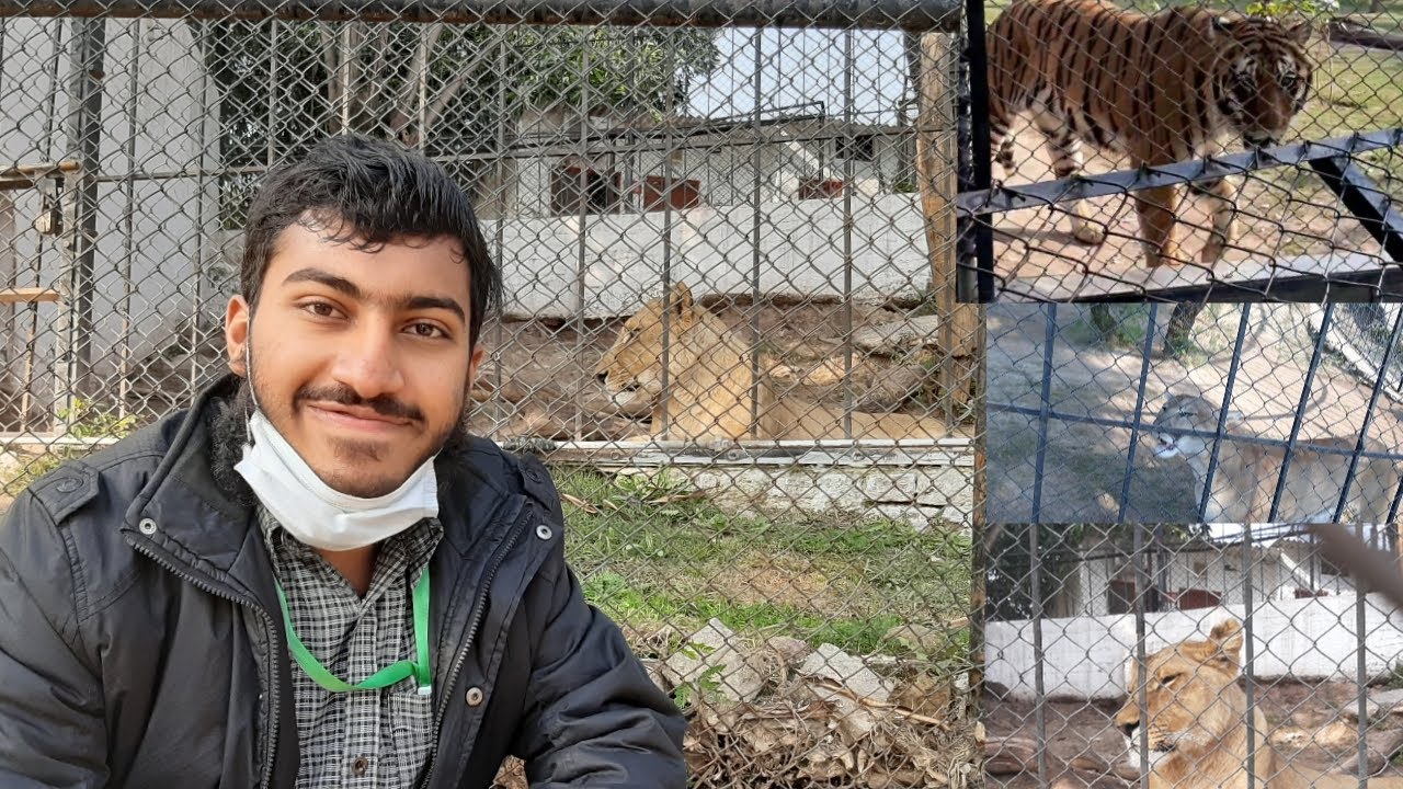 Lions of Ayub Park Rawalpindi