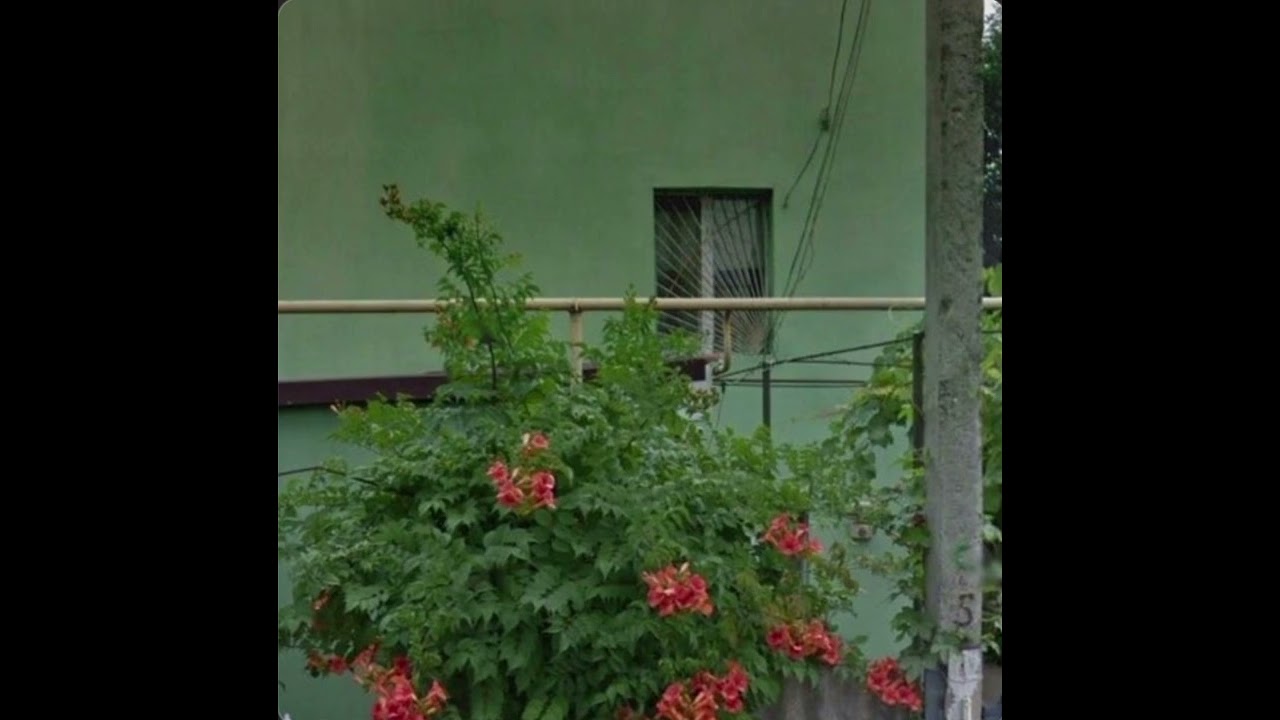 Паук Серёжа