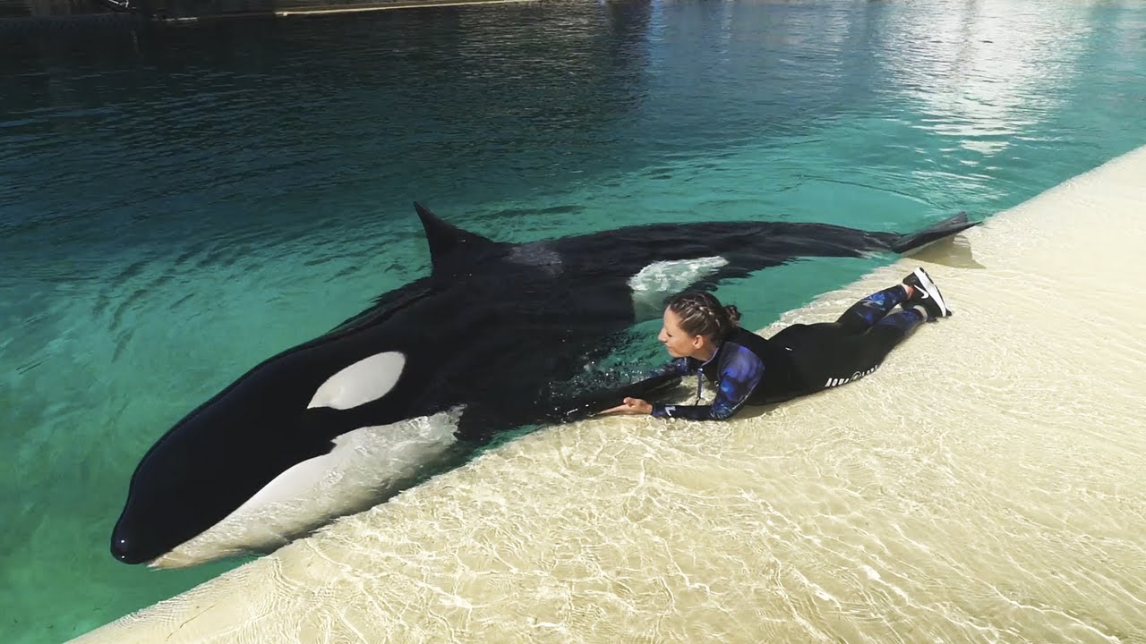 Soigneur Orques_Marineland