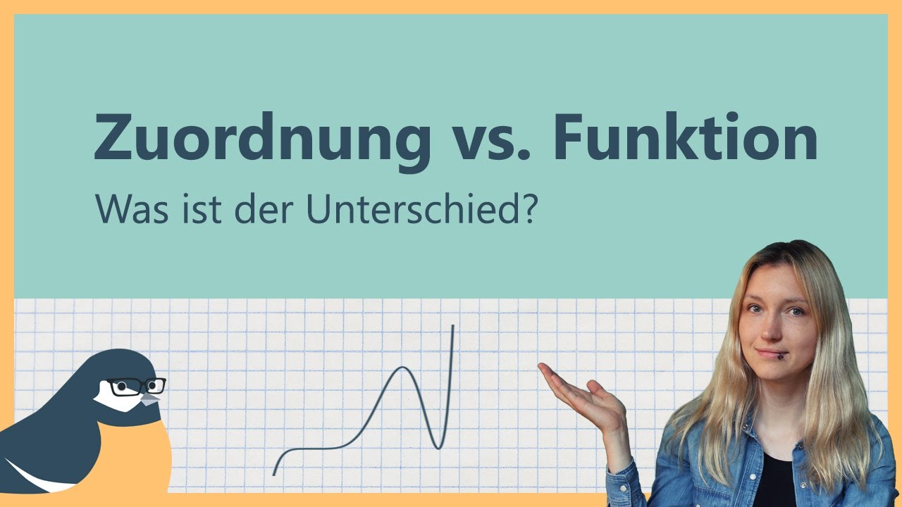 Zuordnung oder Funktion - was ist der Unterschied? | Mathe-Lückenfüller #17