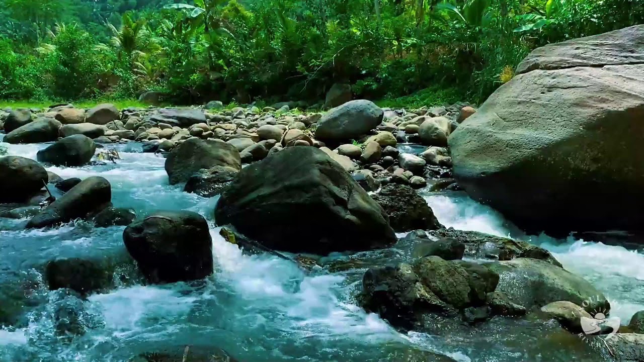 Smooth River Flow Ambience | Natural Water Sounds for Deep Restful Sleep