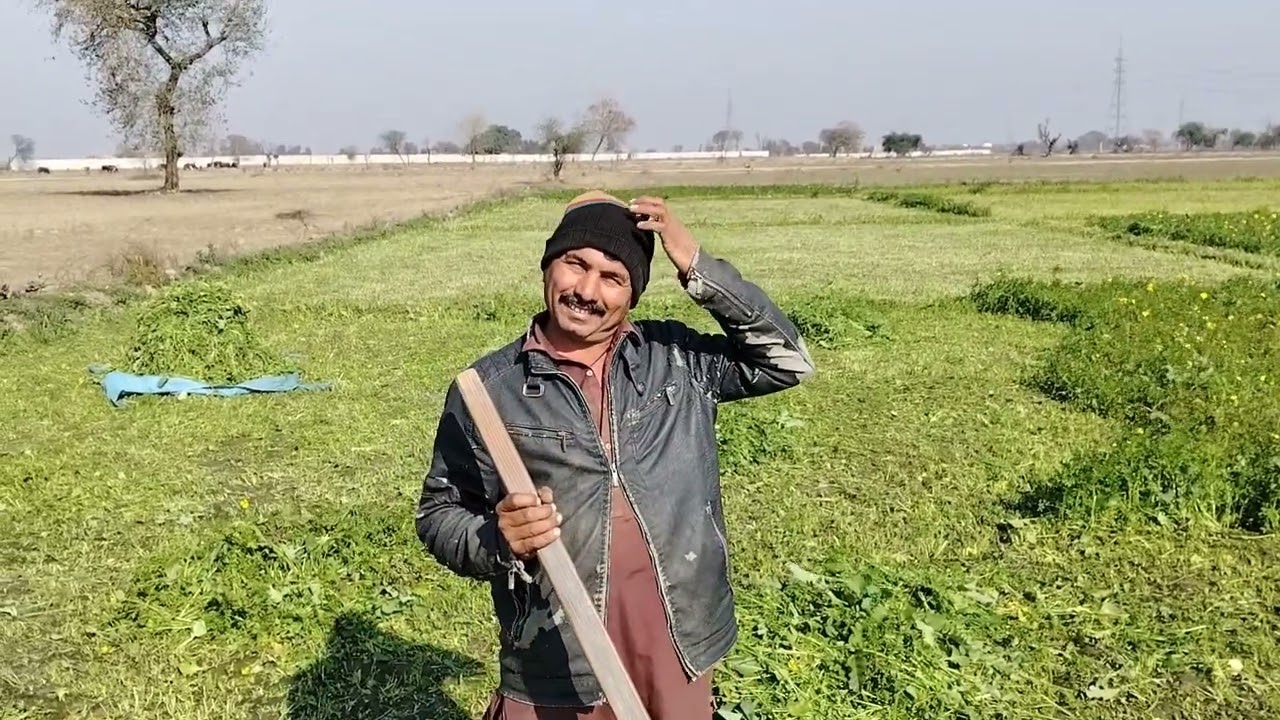 Village Life in Lahore Pakistan #gmjuttvilog #villagelife 