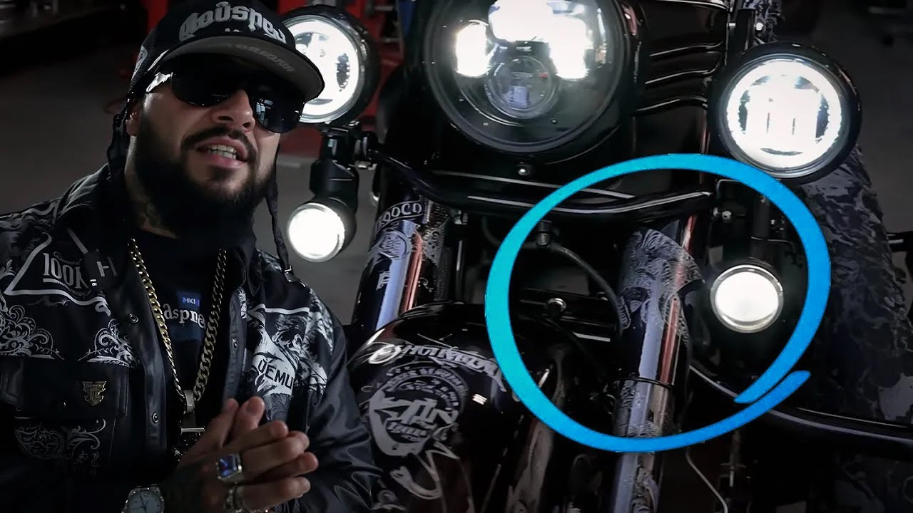 I Let Dirtbags California Go Crazy on My Harley… The Results Are INSANE! 🔥🏍️