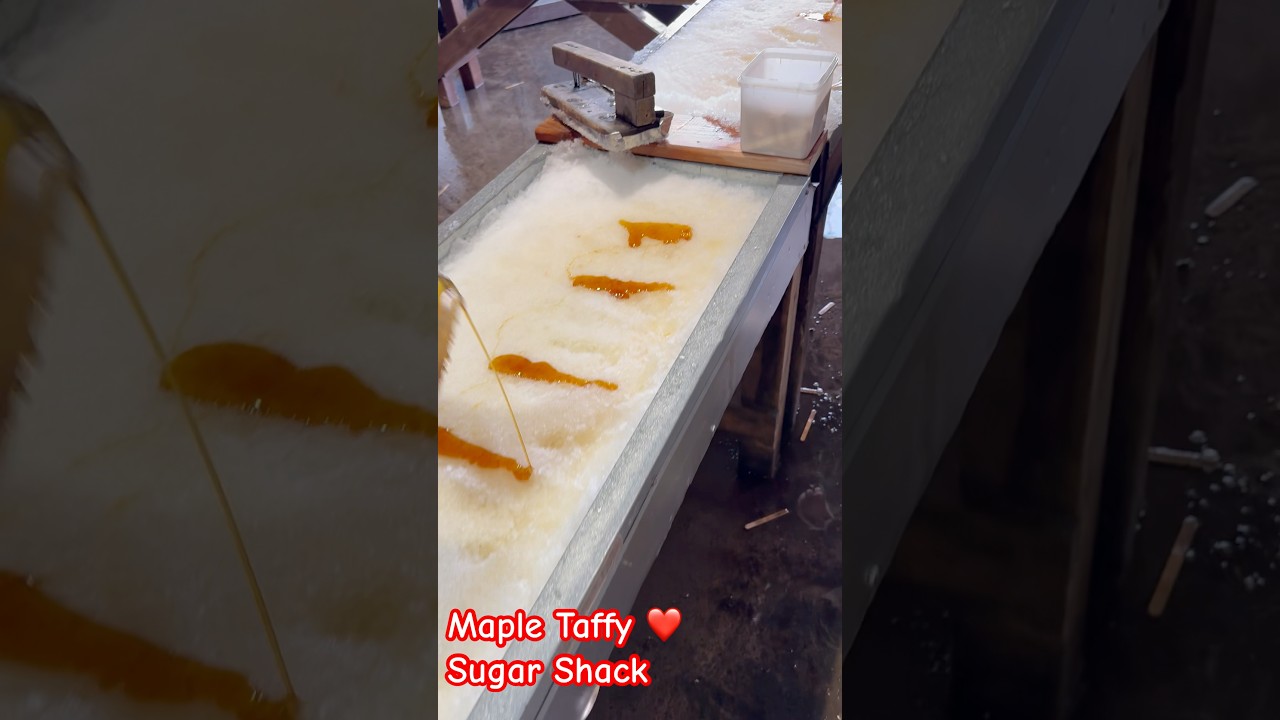 Sugar Shack ❤️ Maple Taffy is soooo good 🔥 #shorts #food #foodie
