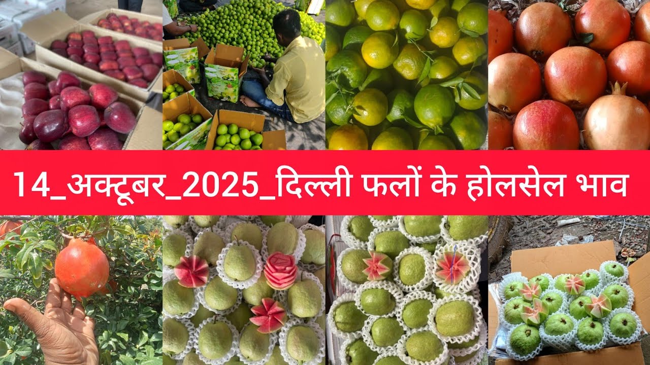 October 14, 2025 दिल्ली फलों के भाव delhi fruit market price APMC delhi fruit market #fruitmarket