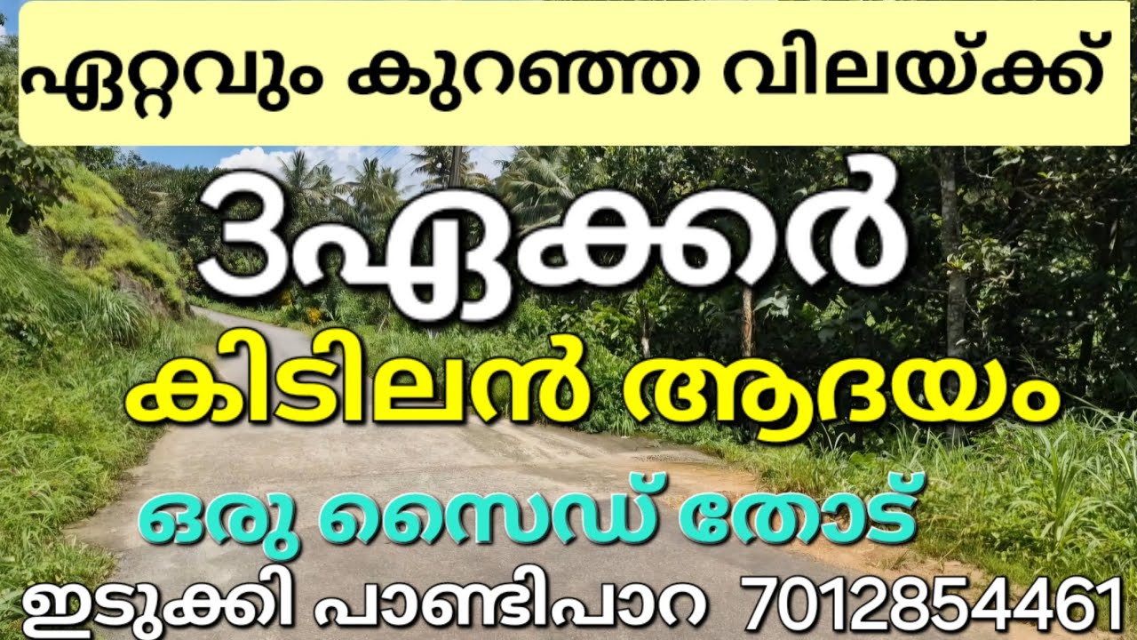 കുറഞ്ഞ വിലയ്ക്ക് അടിപൊളി ആദയമുള്ള 3ഏക്കർ.. ഒരു സൈഡ് തോട്.. കുരുമുളക് ജാതി ഏലം റബ്ബർ. പാണ്ടിപാറ. 👇👇