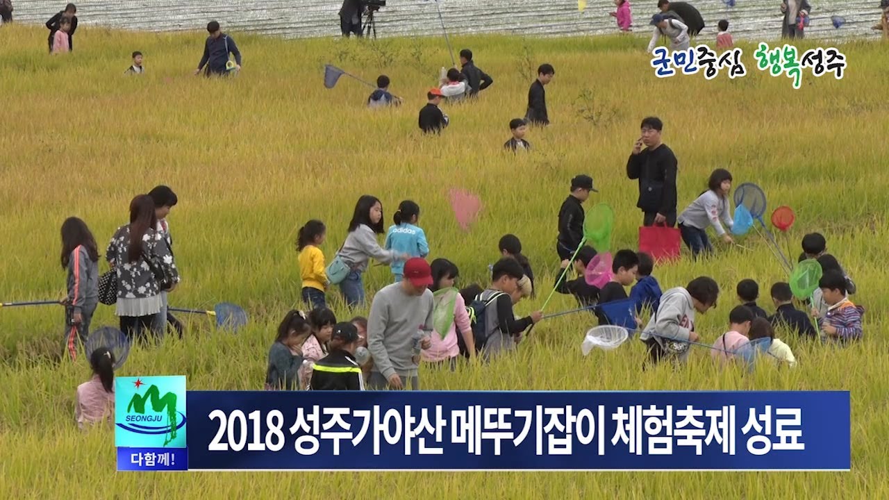 181017 성주군정뉴스