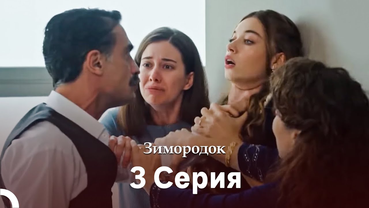 Зимородок 3 Cерия (Русский дубляж)(Длинная Bерсия)