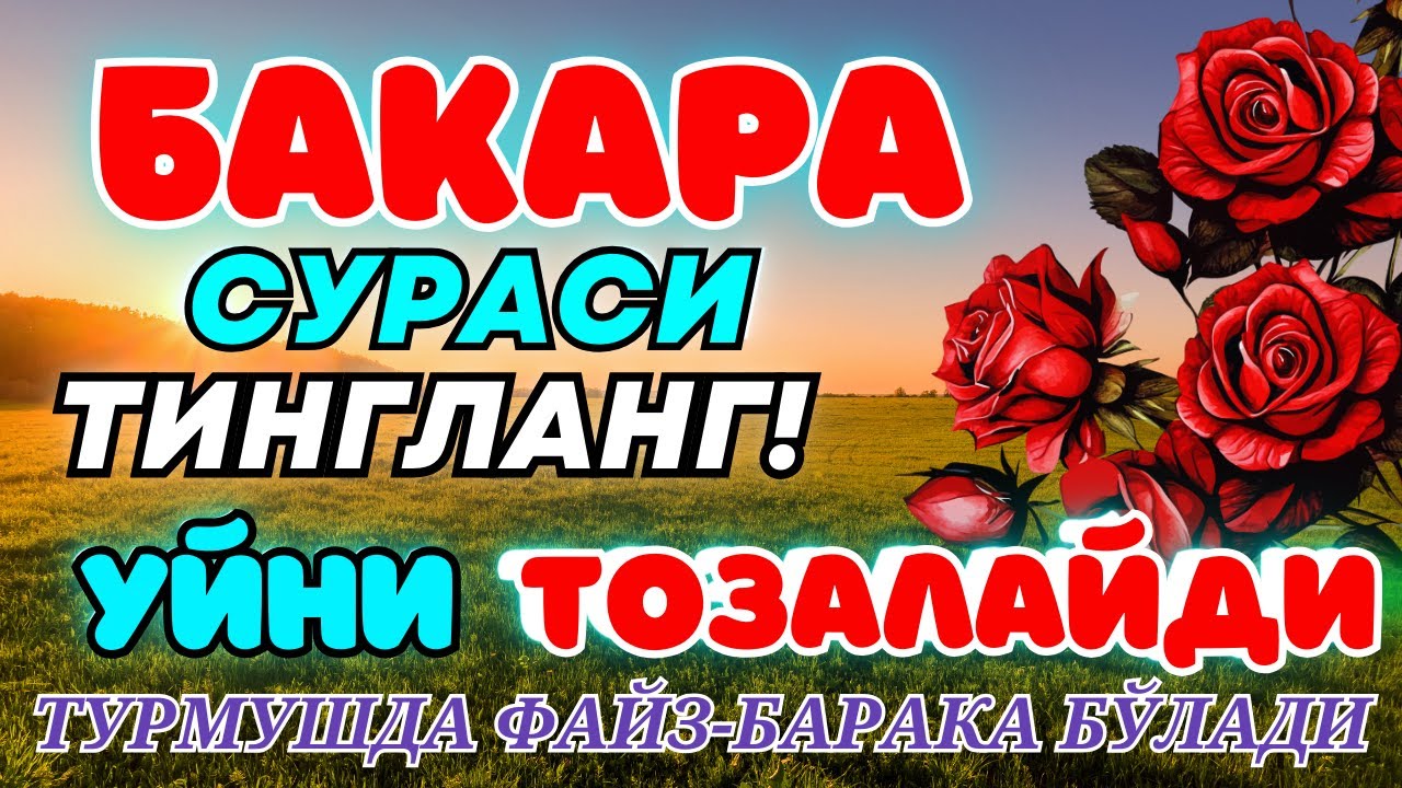 Bakara suresi Dinle || surah Baqarah || Бақара сураси Уйга ШАЙТОН кирмайди !!!