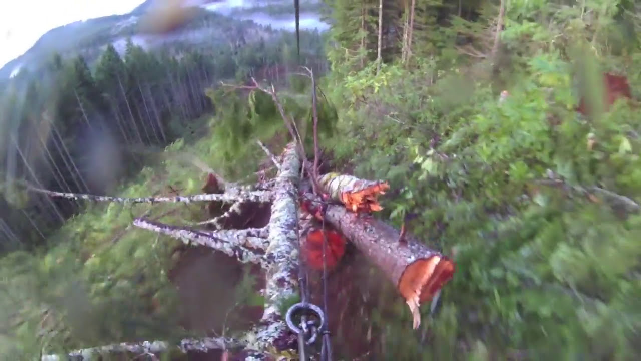 logging with a skycar,  carriage view #life #job #world