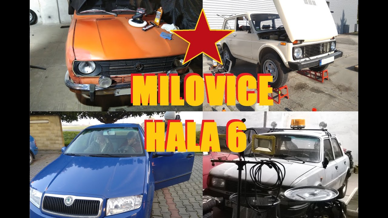 Hala 6 - drobné opravy + leštění 