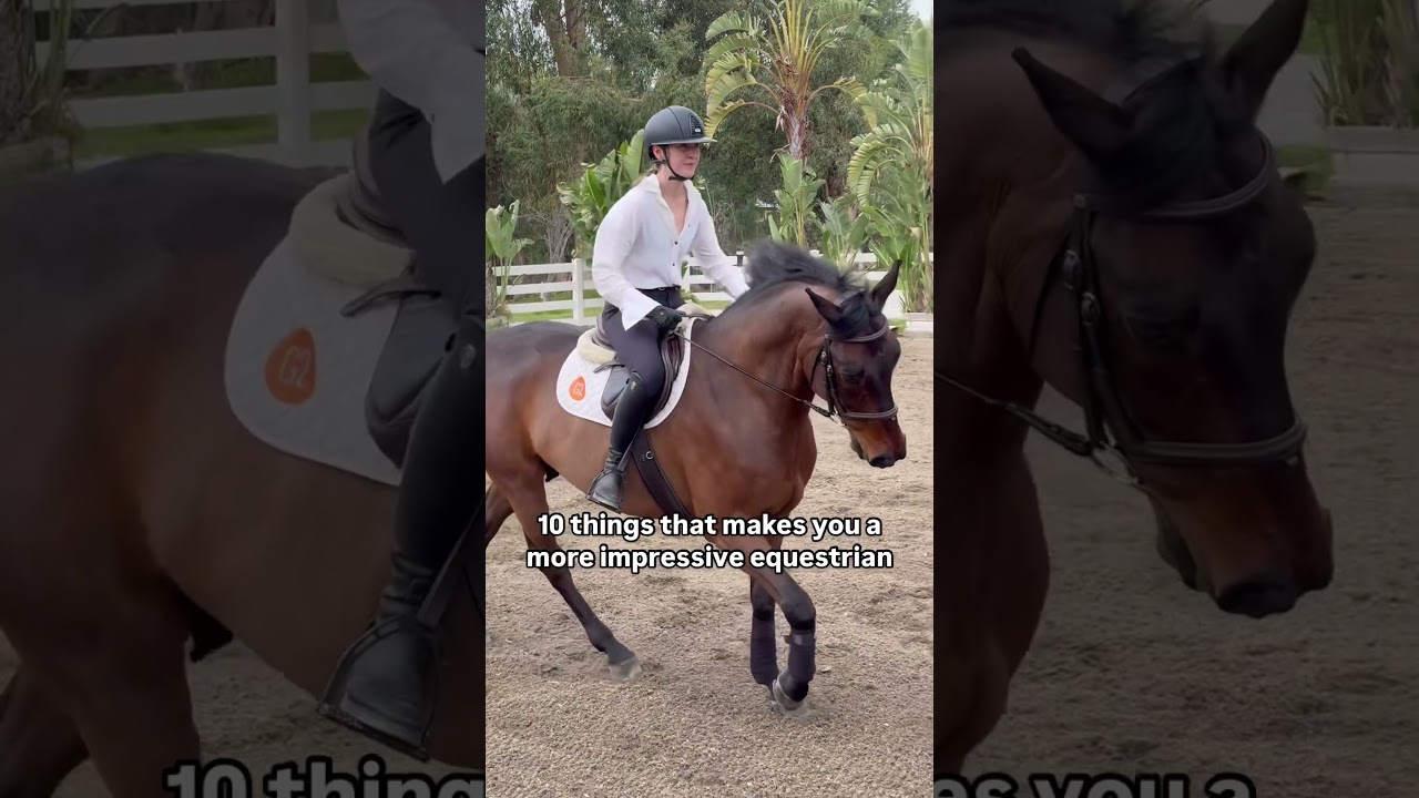 10 things that makes you a more impressive equestrian, or horse rider. #horseriding #horsetraining