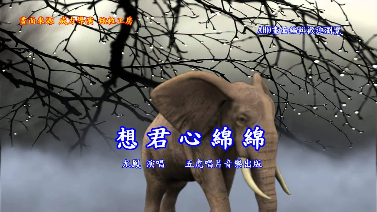 尤鳳 想君心綿綿