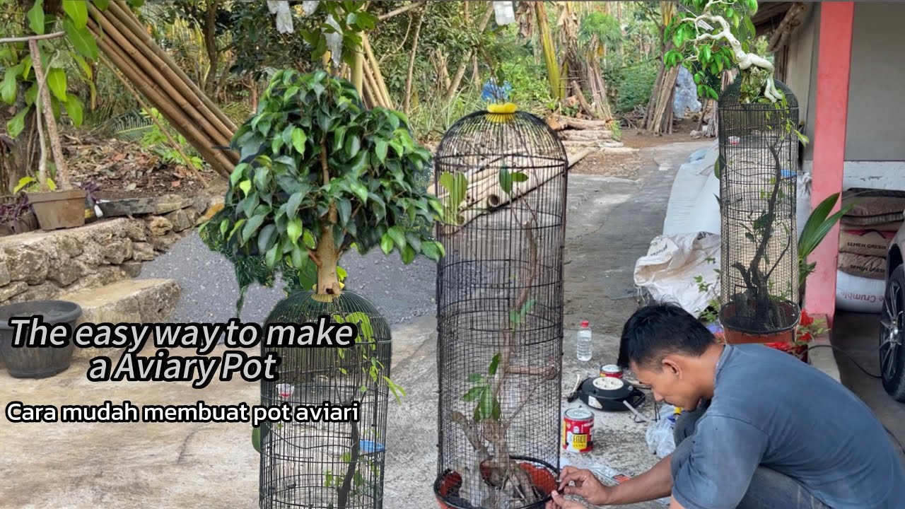 THE EASY WAY  TO MAKE A AVIARY POT
