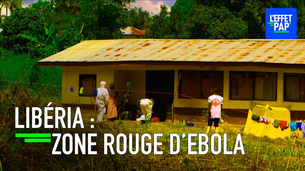 Ce Virus Qui Décime l'Afrique