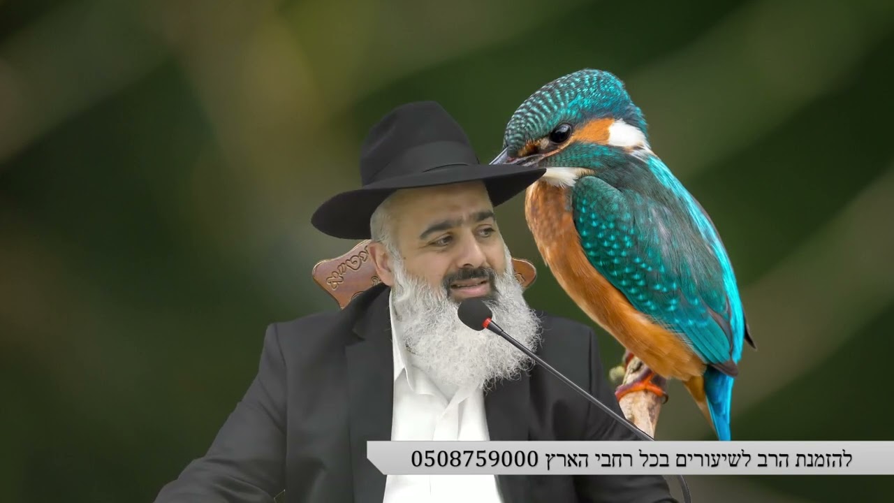 אם הצדיק רבי שלום שבזי היה היום בתימן 