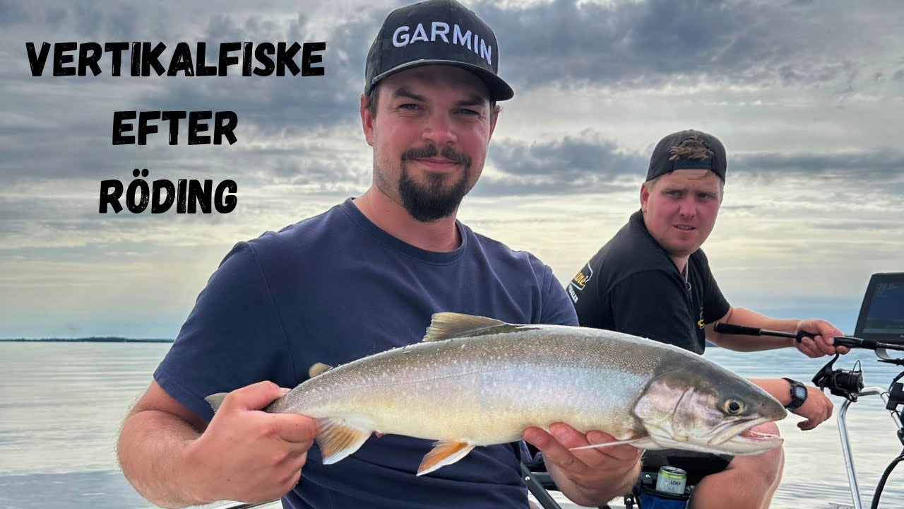 Vertikalfiske efter Röding på Vättern