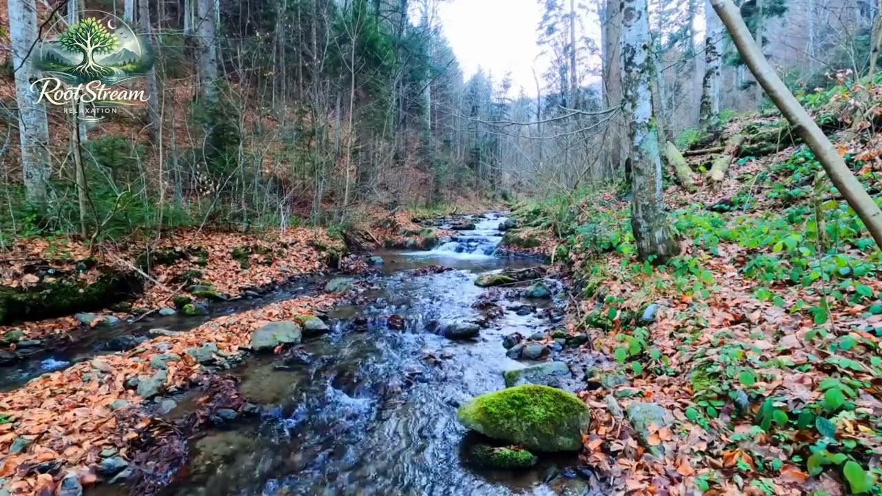 Peaceful River Sounds for Sleeping | 1 Hour Natural Water Ambience”